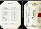 Castedosa spec sheet