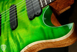 2023 - Paul Reed Smith 509 - Eriza Verde