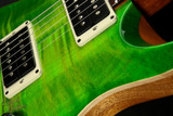 2023 - Paul Reed Smith Custom 24-08 - Eriza Verde