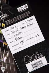 Paul Reed Smith Special Semi-Hollow Electric Guitar in Grey Black Purple Wraparound Smokeburst