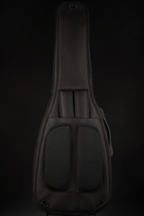 2023 - Paul Reed Smith Myles Kennedy - Hunters Green
