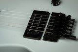 2023 - EVH Star Limited Edition - Primer Gray