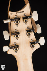 Paul Reed Smith Swamp Ash Special Electric Guitar in Black Doghair Smokeburst