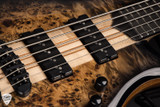 Mayones Patriot 5 – Trans Natural Black Gloss Bass Guitar