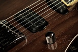 2022 - Caparison Horus-WB-FX EF - Trans Charcoal Black