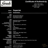 Don Grosh SuperJet - Faded Golden Eye Burst