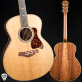 Taylor Gold Label 814e – Torrefied Spruce & Honduran Rosewood Acoustic Guitar