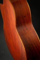 Lowden F-35C Fan Fret - Sinker Redwood & Cocobolo