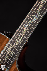 Taylor PS12ce 12 Fret Acoustic Guitar with Honduran Rosewood and Sinker Redwood