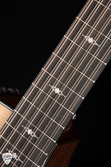 Taylor 354ce Acoustic Guitar