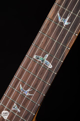 Paul Reed Smith Eddie’s Guitars Wood Library Hollowbody II Piezo Cocobolo Electric Guitar in Faded Blue Jean