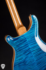 Paul Reed Smith Eddie's Guitars Wood Library Hollowbody II Piezo Cocobolo - Aquamarine