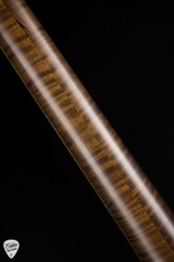 Dunable Asteroid Electric Guitar in Buckeye Burl