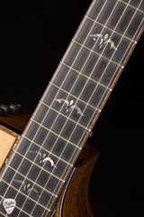 2021 - Taylor 914ce LTD - Spruce & Bocote Acoustic Guitar