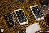 Paul Reed Smith 40th Anniversary Custom 24 Limited Edition Electric Guitar in Tiger Eye