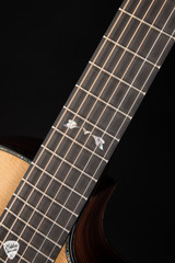 Kevin Ryan Paradiso Grand Concert - Sitka Spruce & Indian Rosewood - NAMM 2025 Acoustic Guitar
