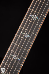 Taylor Builder’s Edition 914ce Acoustic Guitar