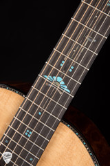 Kevin Ryan Signature Series Cathedral Grand Fingerstyle - Bearclaw Sitka Spruce & The Tree Mahogany Acoustic Guitar