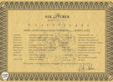Nik Huber Dophin ’59 25th Anniversary Prototype Electric Guitar in 25th Burst/NAMM Instrument