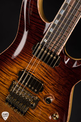 ESP Custom Shop 50th Anniversary Horizon-CTM - Tiger Eye Burst #11/30 / NAMM 2025