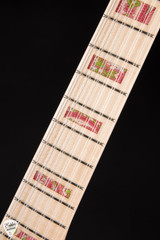 Fender Custom Shop Master Built Prestige Collection Telecaster XII Electric Guitar in Pink Paisley Swirl/NAMM 2025