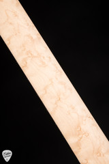 James Tyler Studio Elite HD Electric Guitar in Arctic Mint Shmear