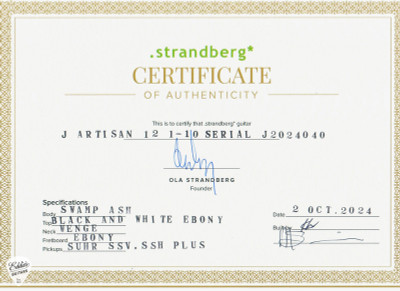 Strandberg Boden J Artisan 6 - Natural Pale Moon Ebony Electric Guitar