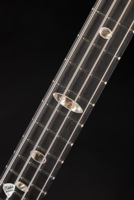 Alembic Brown Bass in Walnut