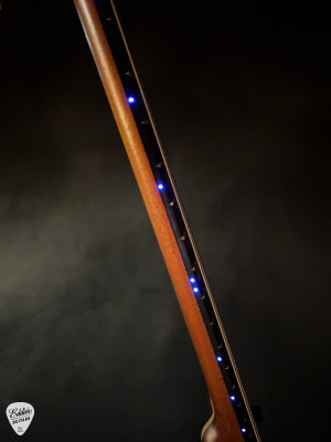 Alembic Brown Bass in Walnut