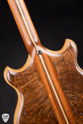 Alembic Brown Bass in Walnut