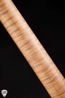 Ernie Ball Music Man Sabre HT Electric Guitar in Blackout