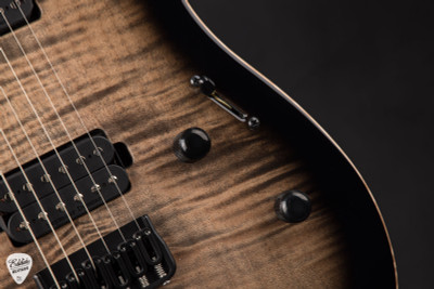 ESP USA TE-II HT Electric Guitar in Black Sunburst