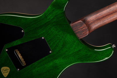 Paul Reed Smith Eddie's Guitars Wood Library DGT (David Grissom