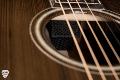 Santa Cruz The Vault Series OM Style 45 – Dark Forest Ancient Cypress & The Tree Mahogany Acoustic Guitar