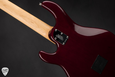 Ernie Ball Music Man StingRay 5 Special HH Bass Guitar in Oxblood