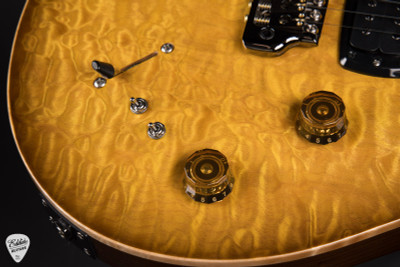 Paul Reed Smith Eddie’s Guitars Wood Library Modern Eagle V Ziricote FB/Rosewood Neck – Livingston Lemondrop Electric Guitar