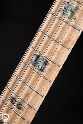 Spector NS-5 Neck Thru Bass Guitar in Nightshade