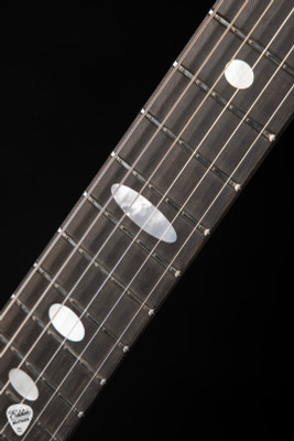 Alembic Skylark - Zebrawood Electric Guitar