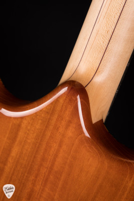 Alembic Skylark - Zebrawood Electric Guitar