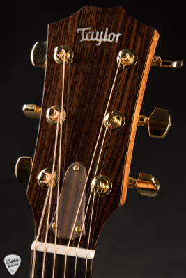 Taylor Legacy 514ce Acoustic Guitar