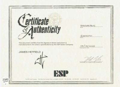 ESP James Hetfield Vulture Electric Guitar in Black Satin