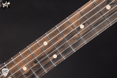 Tom Anderson Pro Am Electric Guitar in Mystichrome with Silver Dog Hair