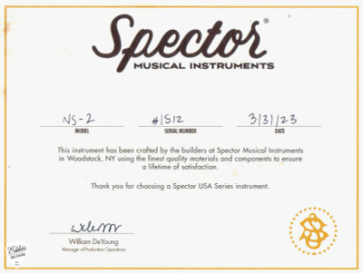 Spector NS-2 4 String Neck Thru Electric Bass in Matte Grey w/Black Burst