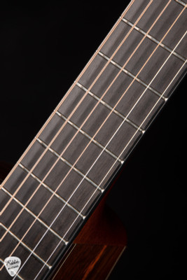 Santa Cruz Fingerstyle Custom - Moon Spruce & Cocobolo Acoustic Guitar