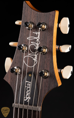 Paul Reed Smith Special Semi-Hollow Blue Matteo electric guitar