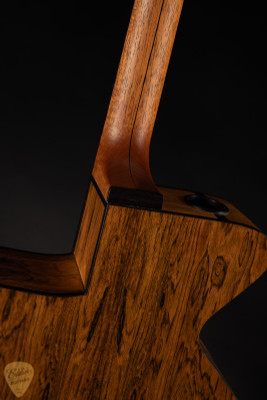 Pagelli Gitane Nouveaux acoustic guitar with Swiss Spruce & Brazilian Rosewood