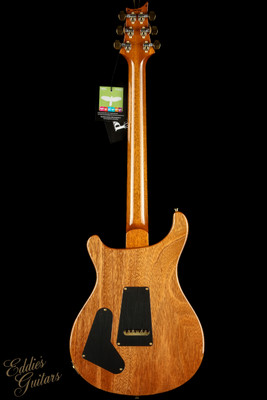 Paul Reed Smith Special Semi-Hollow - Charcoal #367643