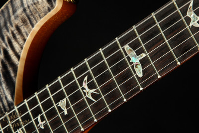 Paul Reed Smith Special Semi-Hollow - Charcoal #367643