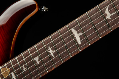 Paul Reed Smith SE DGT - McCarty Tobacco Sunburst #CTIF062799