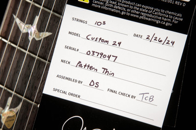 Paul Reed Smith Custom 24 - Faded Whale Blue #379047